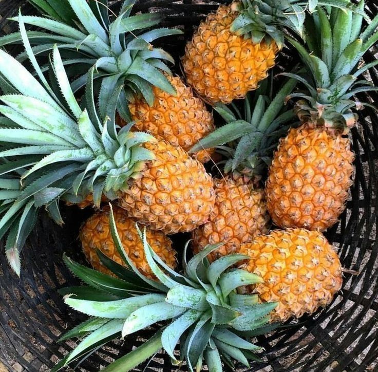 Manfaat Bromelain dalam Nanas untuk Meredakan Peradangan